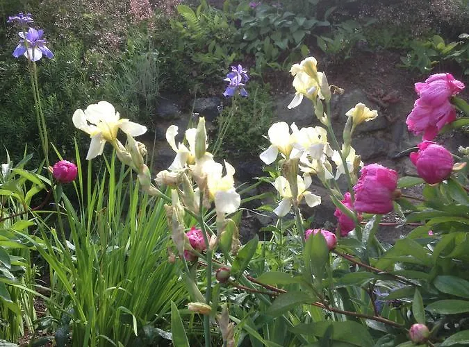 Haus Schnurbus Apartment *