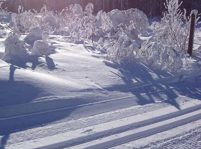 Haus Schnurbus Apartment *