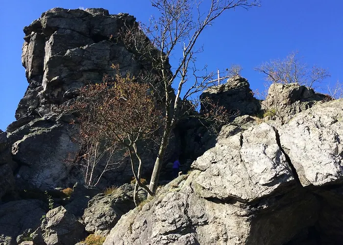 Haus Schnurbus * Olsberg