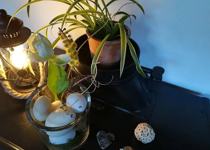 Haus Schnurbus Apartment *