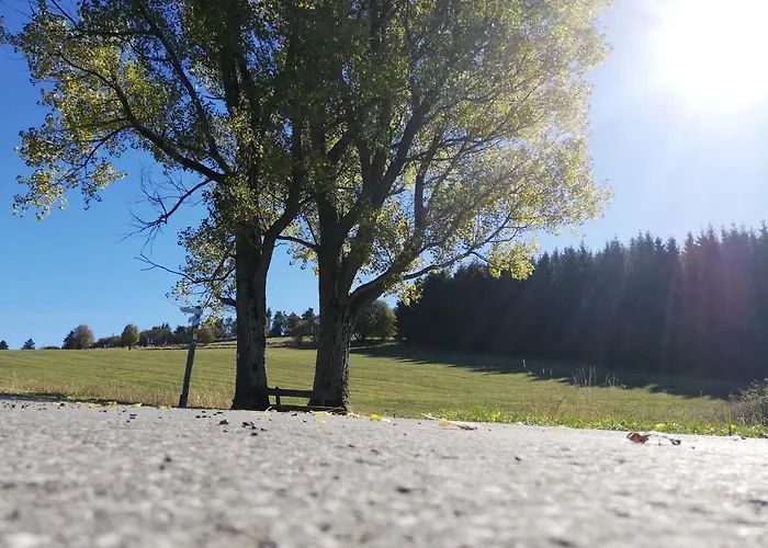 Haus Schnurbus * Olsberg